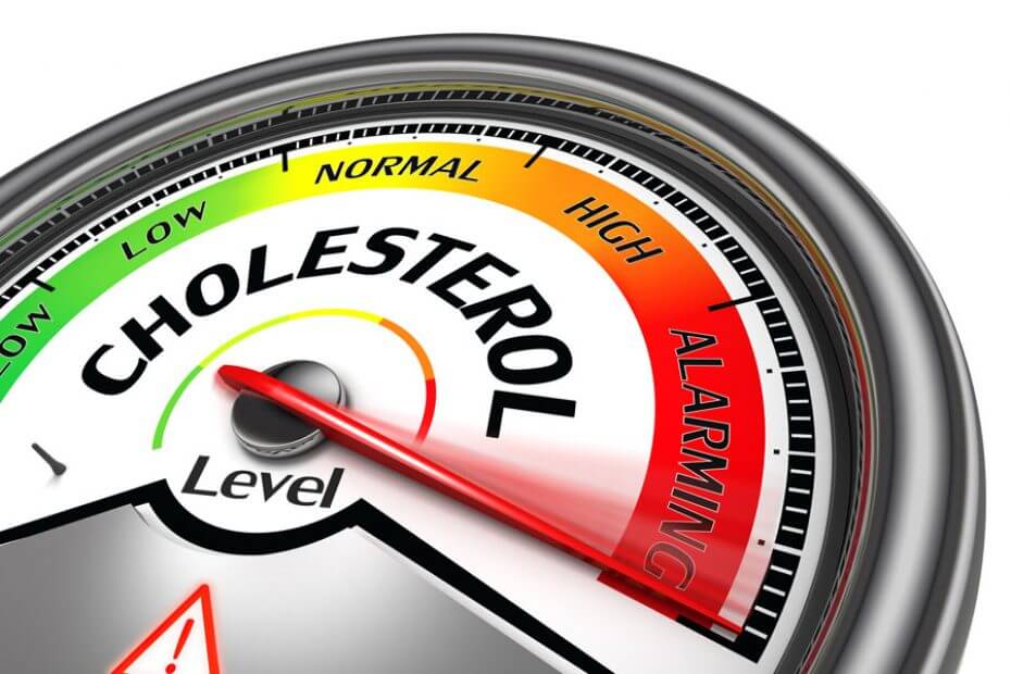 alimentos que nos ayudan a reducir el colesterol