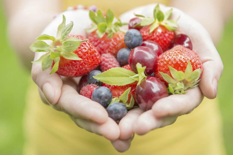 Nutricion